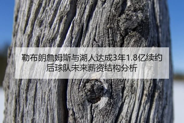 lei-bu-lang-zhan-mu-si-yu-hu-ren-da-cheng-nian-yi-xu-yue-hou-qiu-dui-wei-lai-xin-zi-jie-gou-fen-xi-3-132.jpg